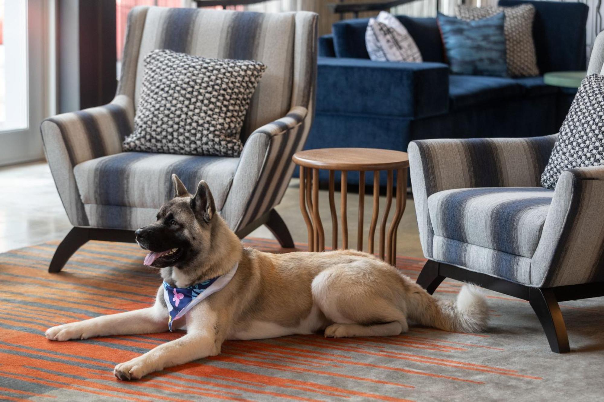 Aloft Beachwood Luaran gambar